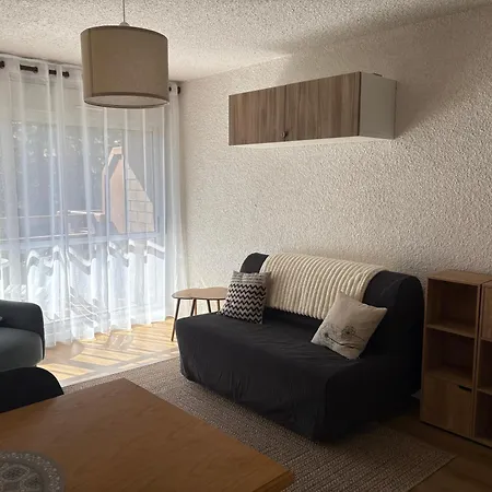 De 32 M2 Pour 3 Personnes Pied Des Pistes Ле дез Альп