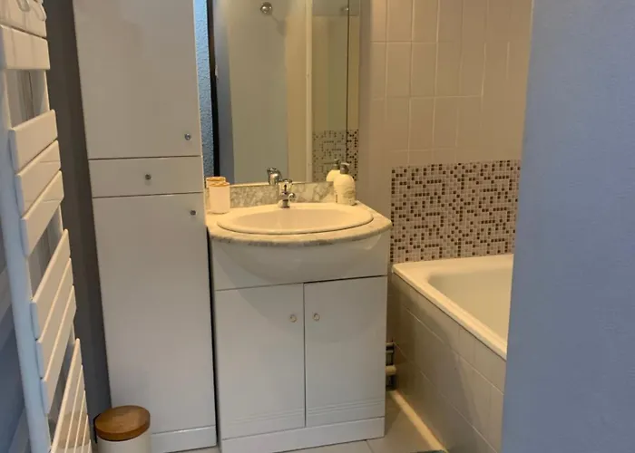 De 32 M2 Pour 3 Personnes Pied Des Pistes