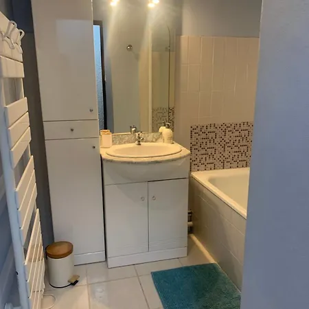 De 32 M2 Pour 3 Personnes Pied Des Pistes