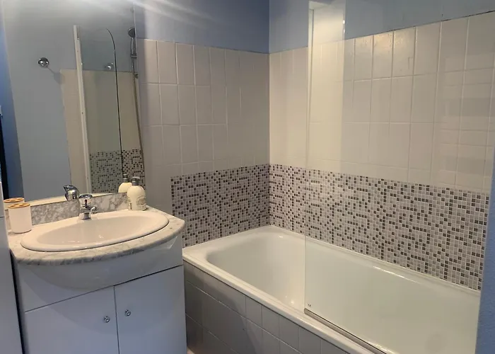 Apartment De 32 M2 Pour 3 Personnes Pied Des Pistes Les Deux Alpes