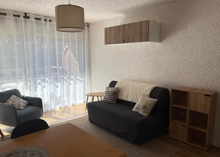 De 32 M2 Pour 3 Personnes Pied Des Pistes Les Deux Alpes